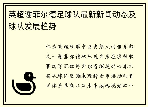 英超谢菲尔德足球队最新新闻动态及球队发展趋势
